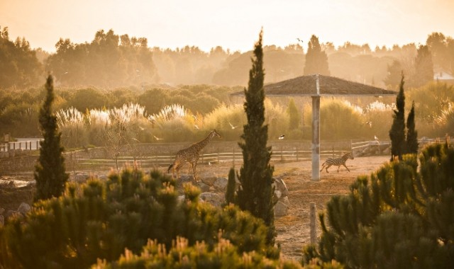 Doğal yaşam parkı 6 Akdeniz ülkesini temsil edecek
