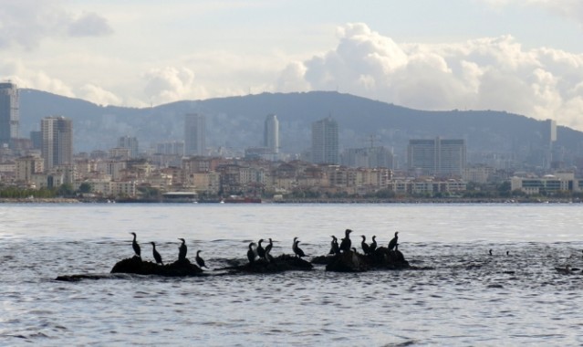 İstanbul'un kayıp adası gün yüzüne çıkıyor